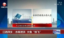 广西梧州新闻爆料网址,聚焦本地热点，解码民生故事